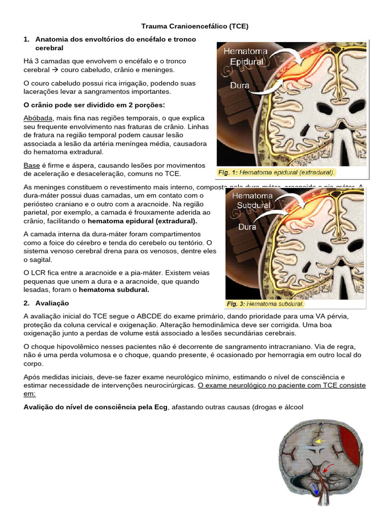 Trauma Cranioencefálico: Avaliação e Tratamento | PDF | Traumatismo ...