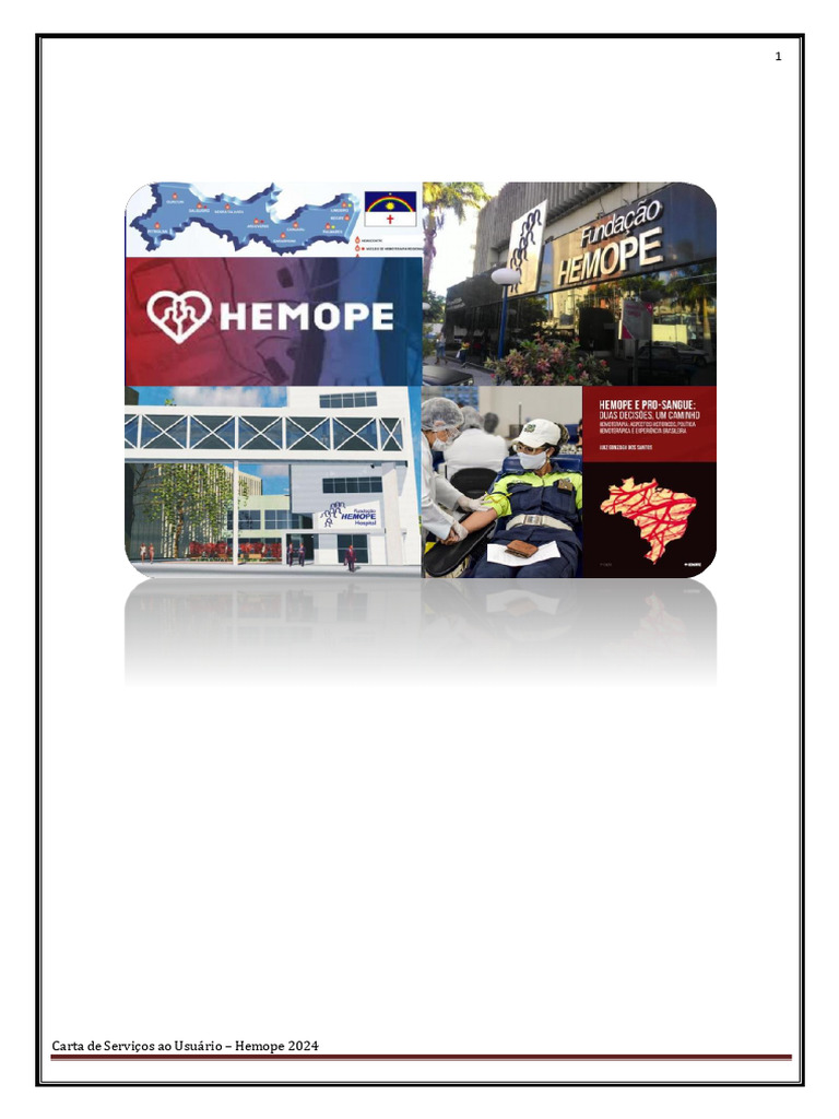 Serviços Hemope 2024: Guia do Usuário | PDF | Doação de sangue | Sangue