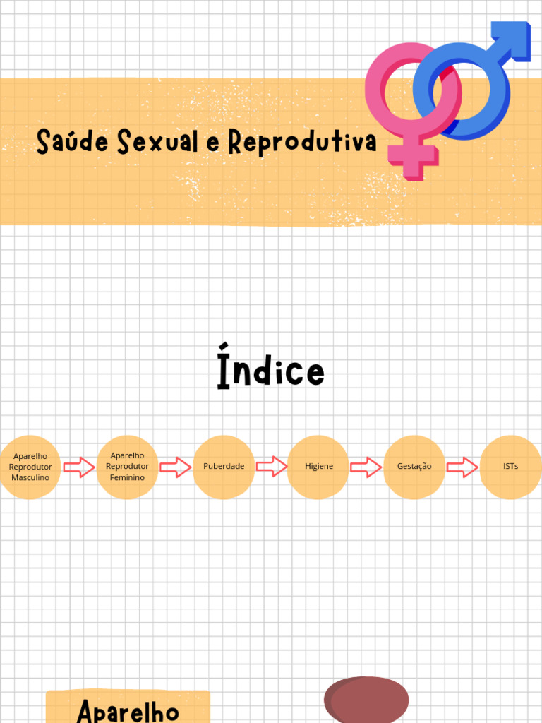 Saúde Sexual Aparelhos Reprodutores E Higiene Pdf 