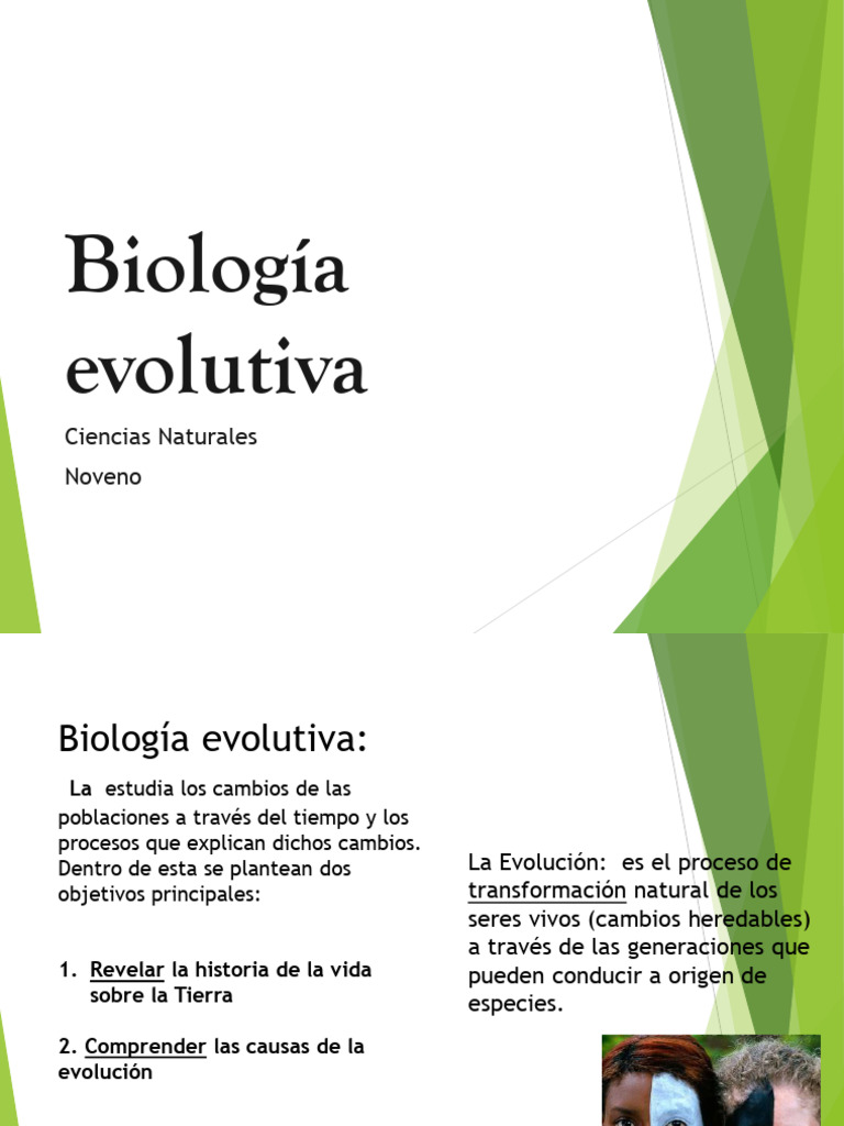 Teorías y Evidencias de la Evolución | PDF | Evolución | Seleccion natural