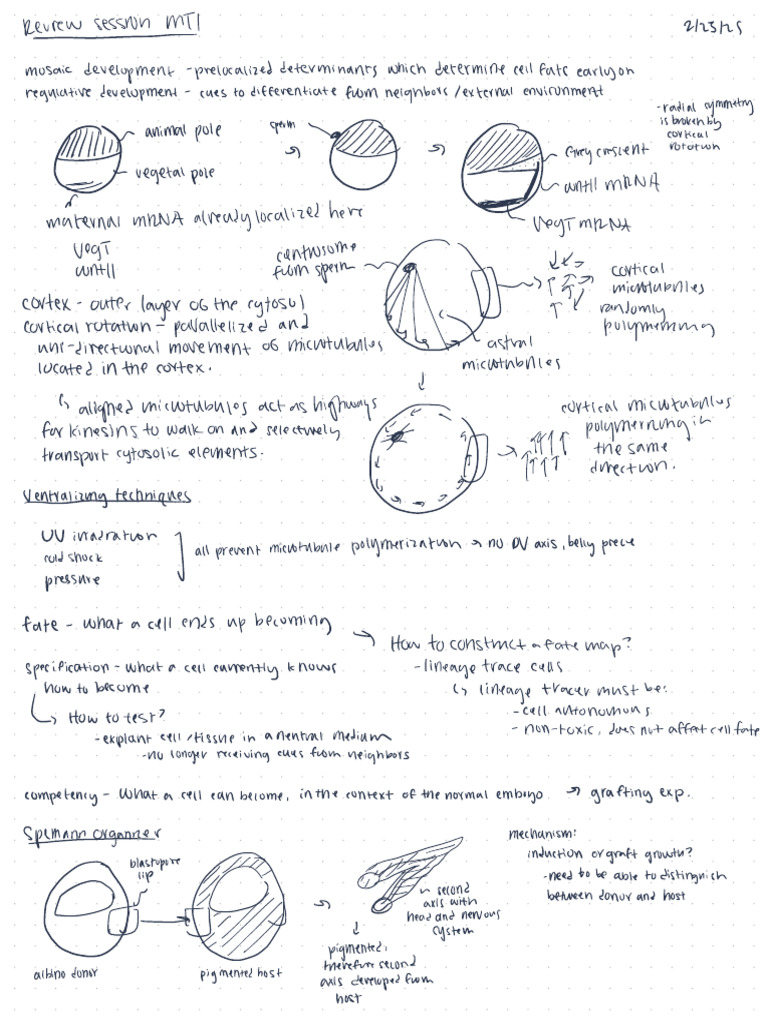 EJD MT1review Notes | PDF