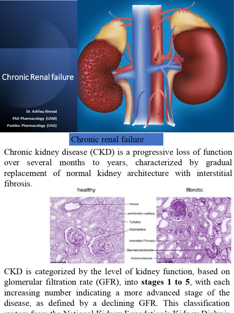 4th Week- Chronic Renal Failure | PDF | Chronic Kidney Disease | Kidney
