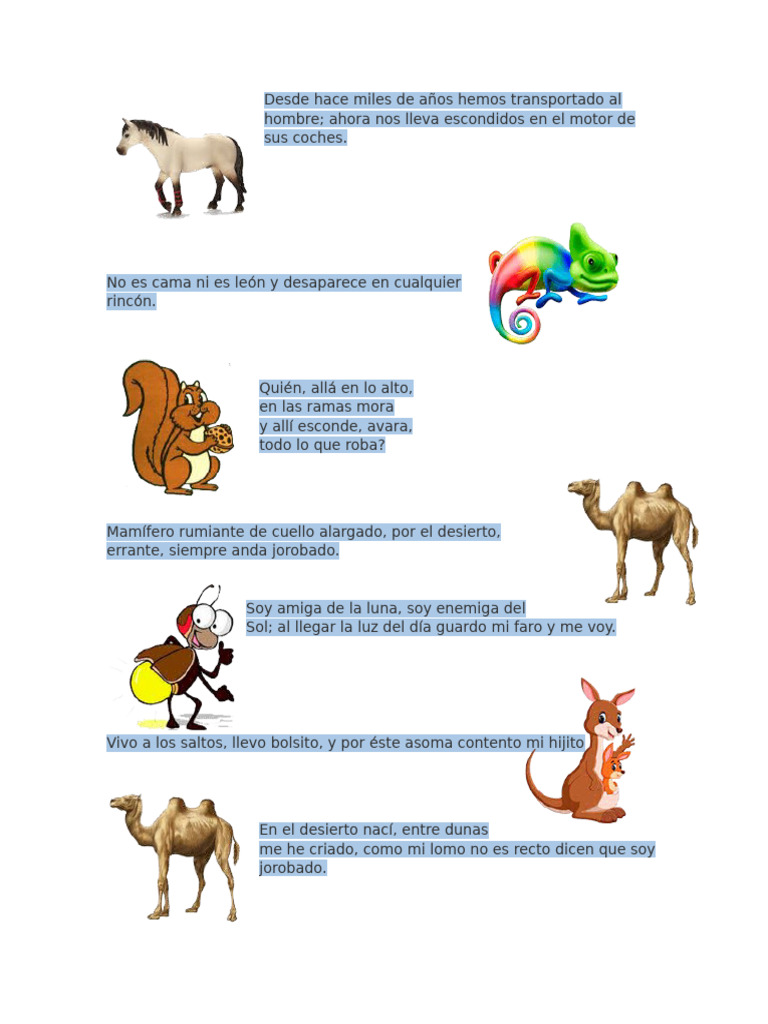 Adivinanzas y acertijos para niños | PDF