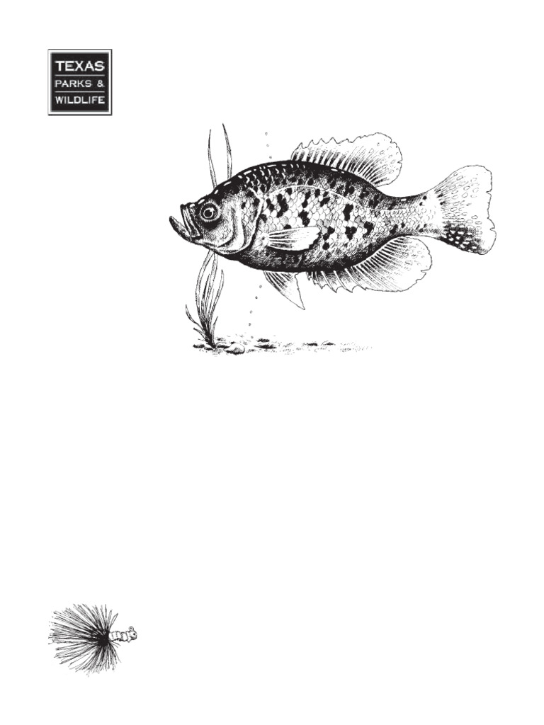 PWD BR t3200 178 | PDF | Fish