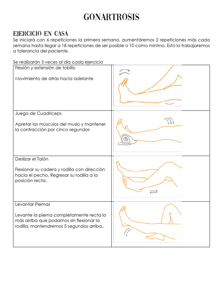 Ejercicios para Rehabilitación de Gonartrosis | PDF | Rodilla | Tobillo