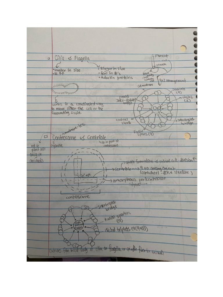 Biology - Cell Notes | PDF
