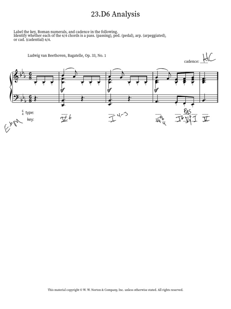 23.D6 Analysis | PDF
