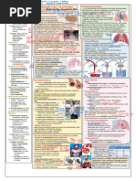 COPD and Asthma Combination Coding Guide | PDF | Chronic Obstructive ...