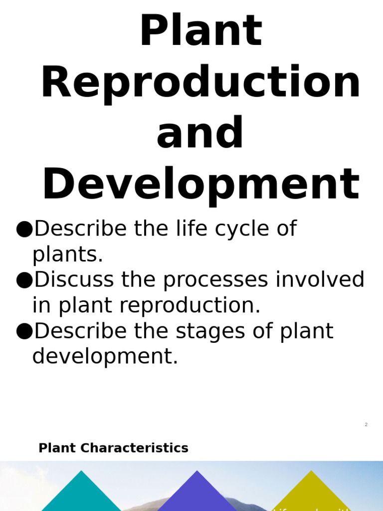 Plant Reproduction and Development Guide | PDF | Flowers | Sexual ...