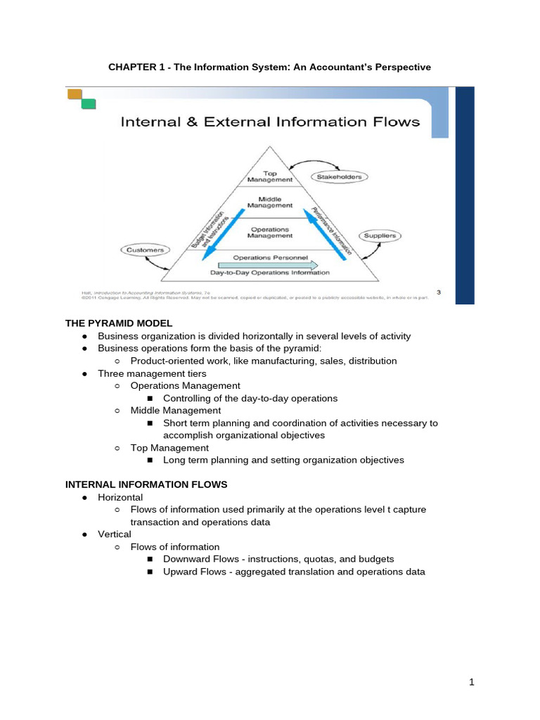 CHAPTER 1 - The Information System An Accountant's Perspective | PDF ...