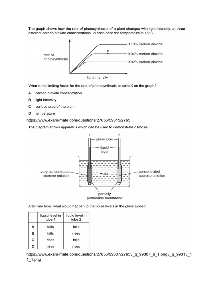 1 T | PDF