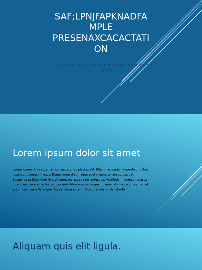 Sample Presentation Overview | PDF