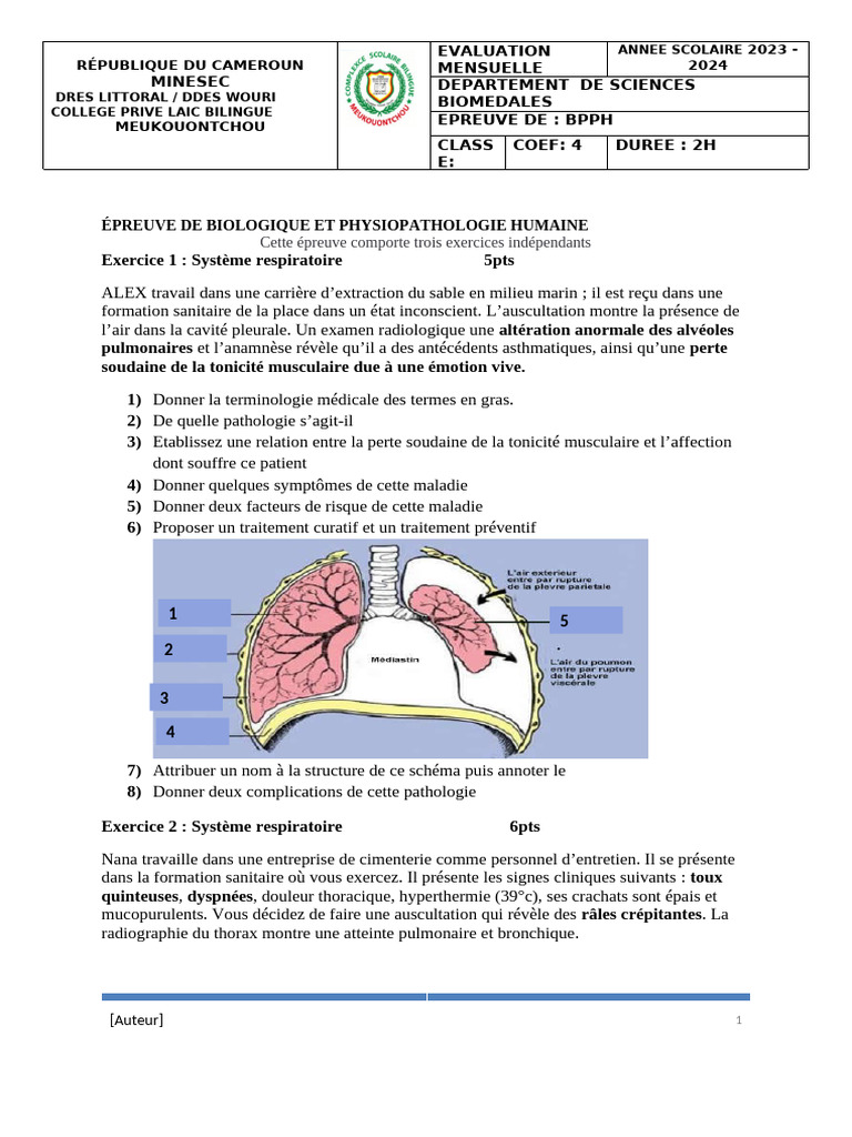 Évaluation BPPH : Pathologies Respiratoires et Digestives | PDF ...