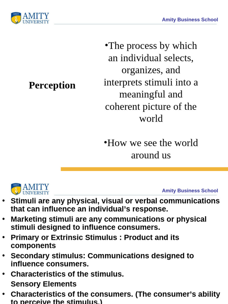 Understanding Consumer Perception in Marketing | PDF | Perception | Brand
