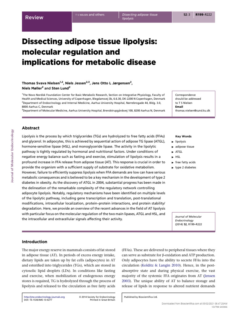 Adipose Tissue Lipolysis and Metabolism | PDF | Biochemistry | Chemistry