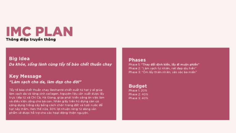 Imc Plan Detail | PDF