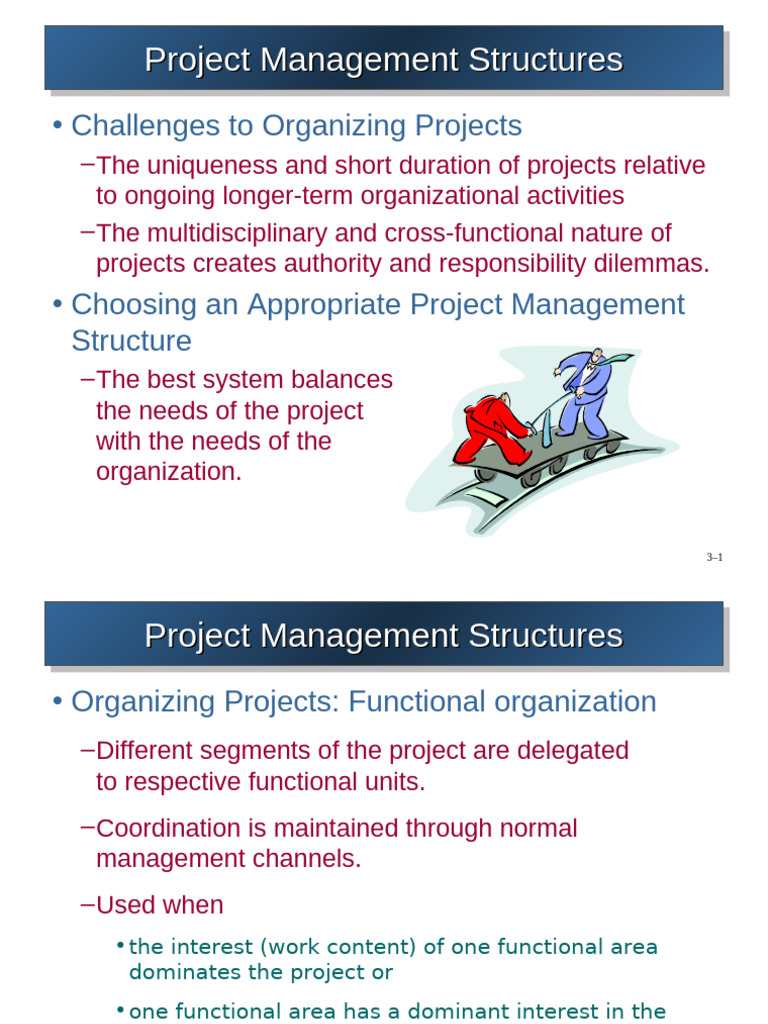 Project Management Structures Overview | PDF | Organizational Culture ...