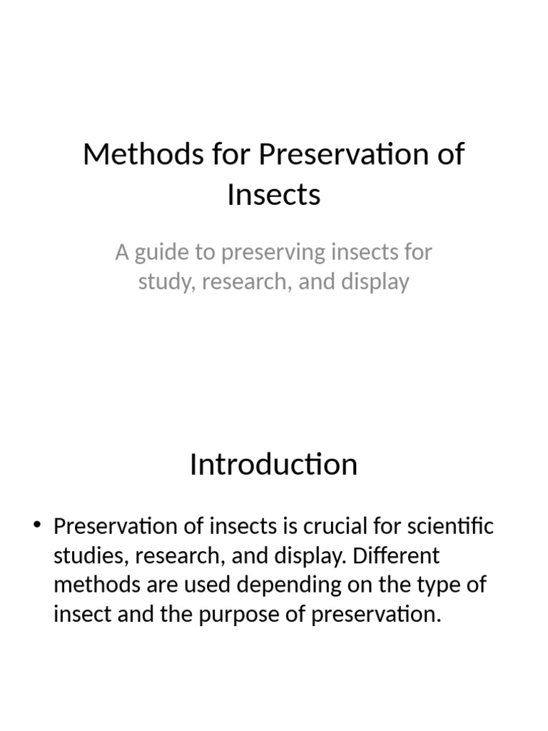 Insect Preservation Methods Guide | PDF