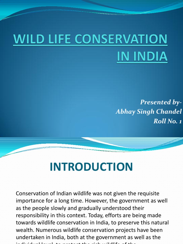 essay on wildlife conservation in india