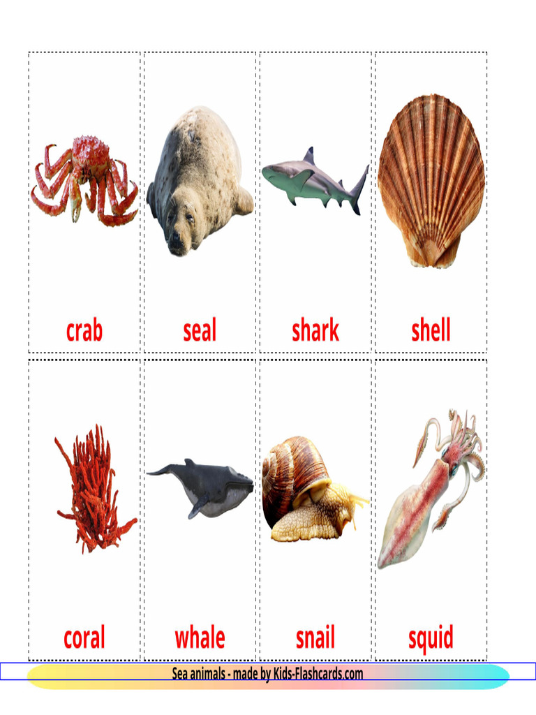 Free Sea Animals Flashcards for Kids | PDF