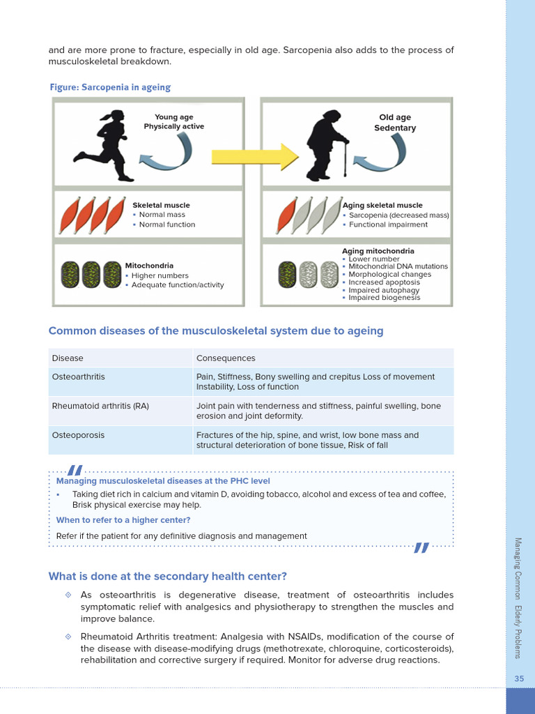 Managing Common Elderly Health Issues | PDF | Stroke | Urinary Incontinence