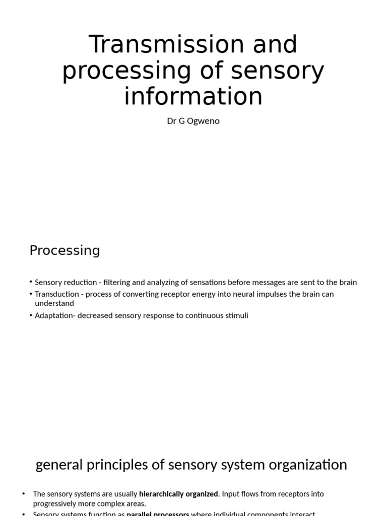 Extra Transmission and Processing of Sensory Information | PDF ...