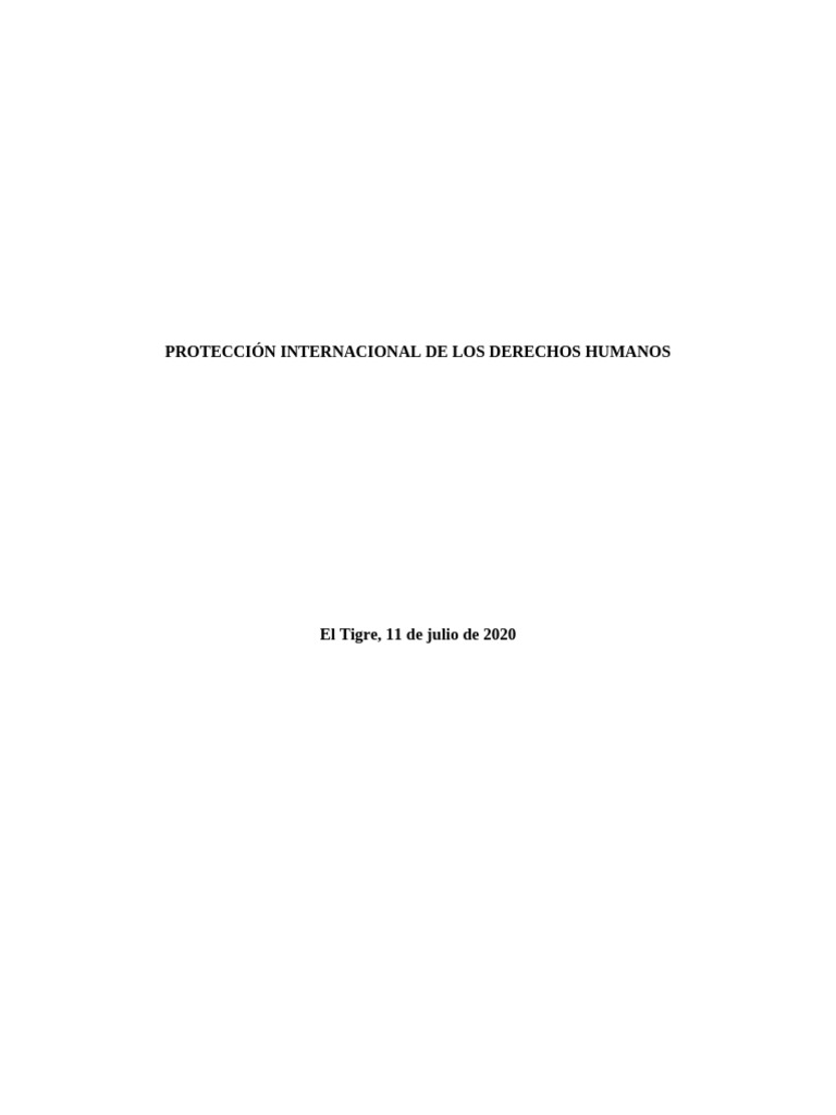 Protección Internacional de Los Derechos Humanos | PDF | Derechos ...