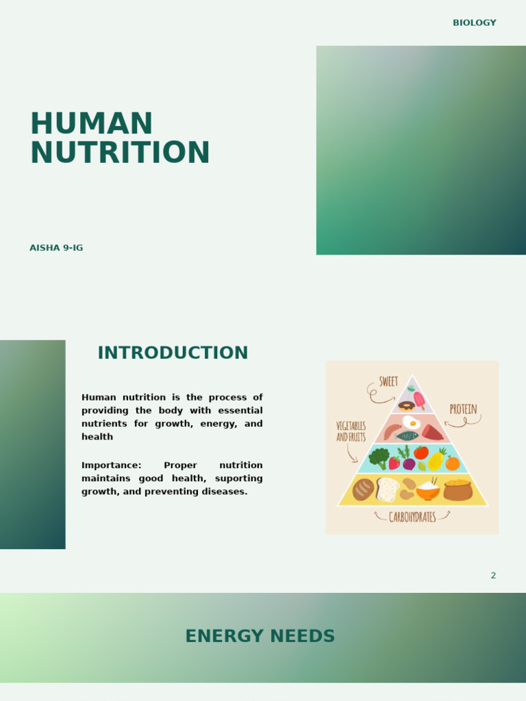 Understanding Human Nutrition Basics | PDF | Digestion ...