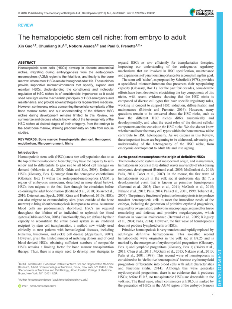 The Hematopoietic Stem Cell Niche From Embryo To Adult | PDF ...