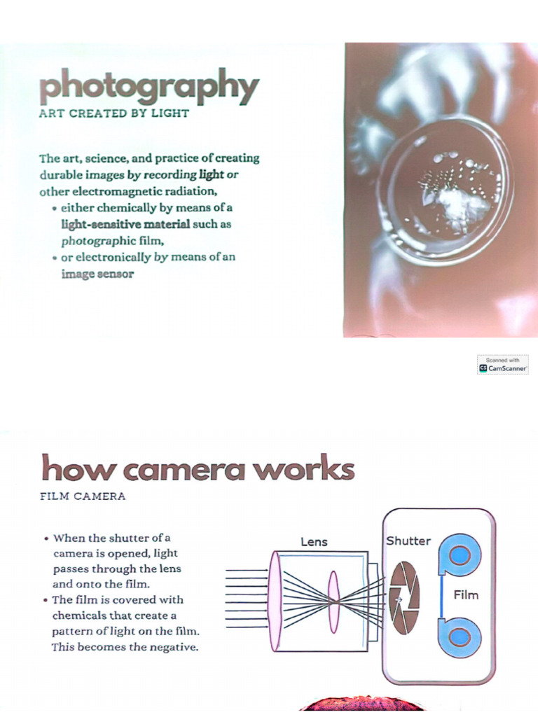 Lecture 7. Photography & Truth | PDF