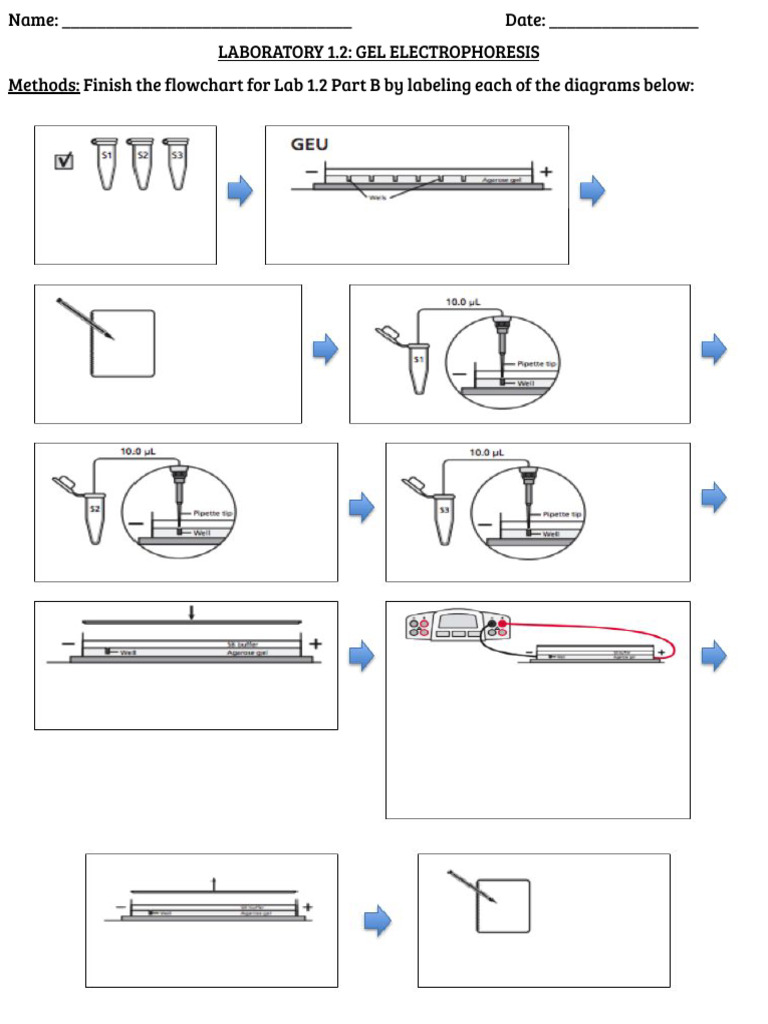 Lab+1 2+flowchart | PDF