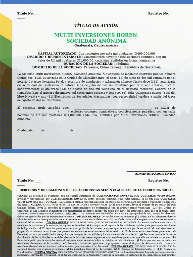 Título de Acción Multi Inversiones BOREN | PDF | Compartir (Finanzas)