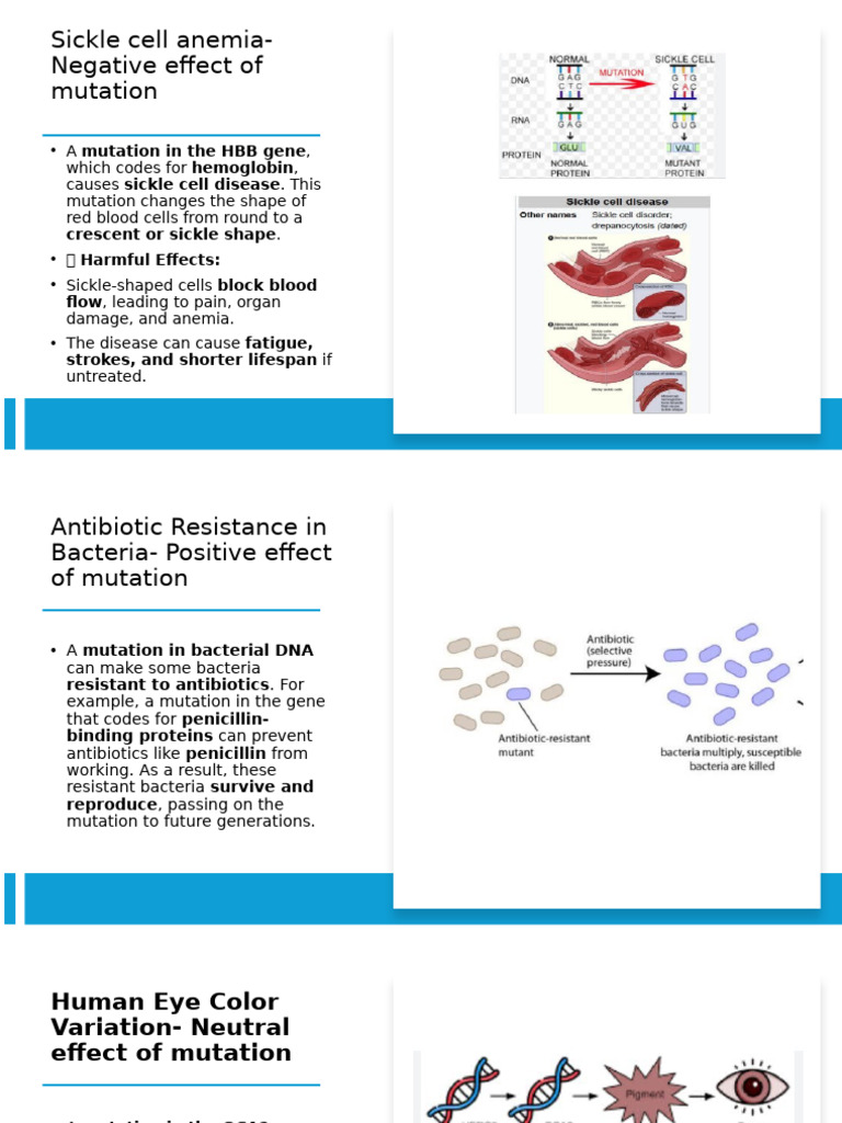 Mutation | PDF | Mutation | Genetic Code