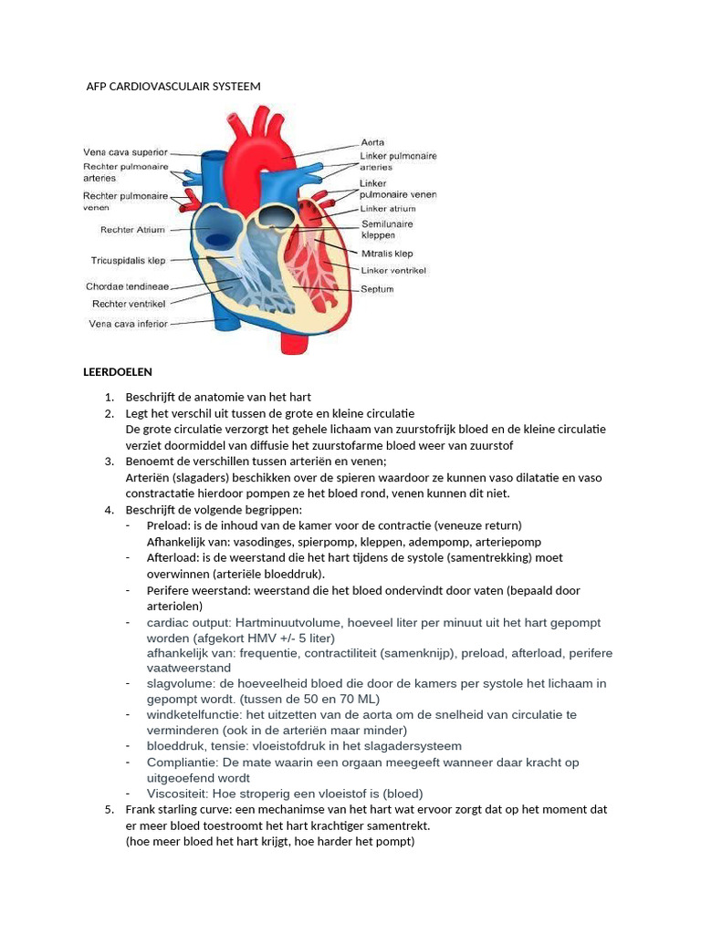 Afp Cardiovasculair Systeem | PDF