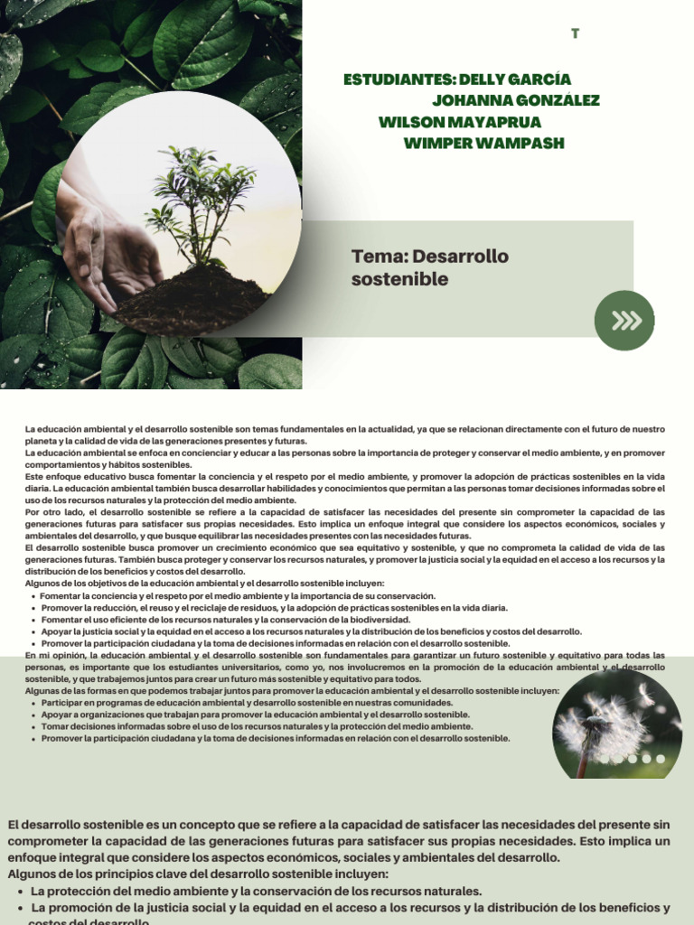 Educación Ambiental y Desarrollo Sostenible | PDF | Sustentabilidad ...