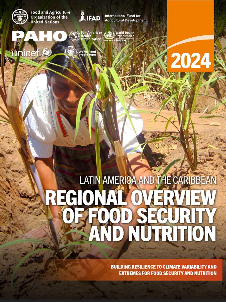 LAC Overview Food Security - FAO - 2024 | PDF | Food Security ...