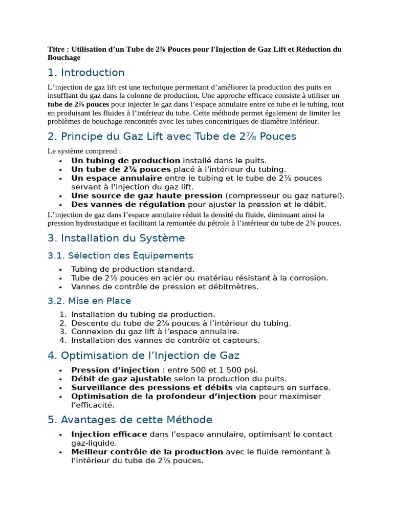 Injection de Gaz Lift avec Tube 2⅞