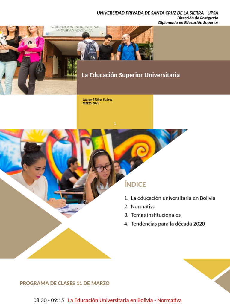 Diplomado en Educación Superior 2025 | PDF | Bolivia | Universidad