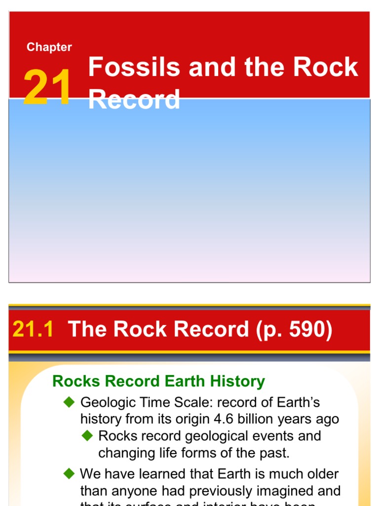 Chapter 21-Fossils and The Rock Record | PDF | Science & Mathematics