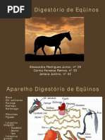 Anato - Aparelho Digestório de Eqüinos