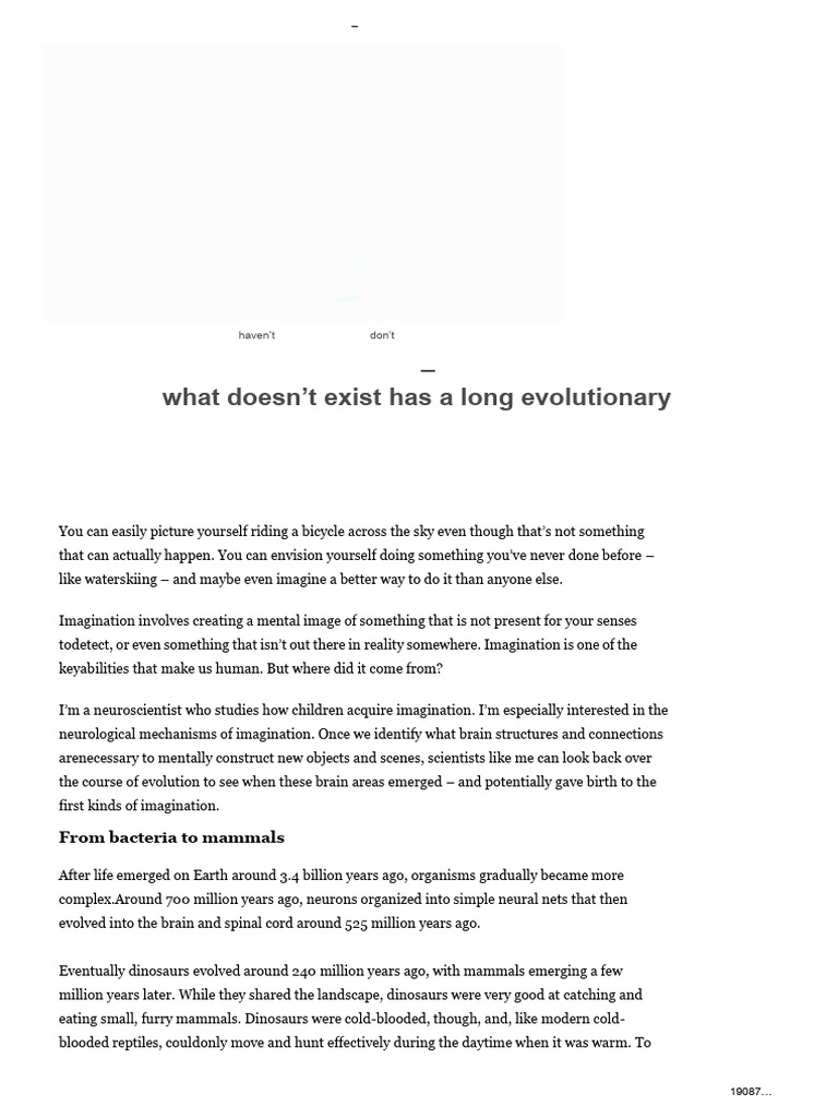 Evolution Of Human Imagination Explained Pdf Brain Imagination