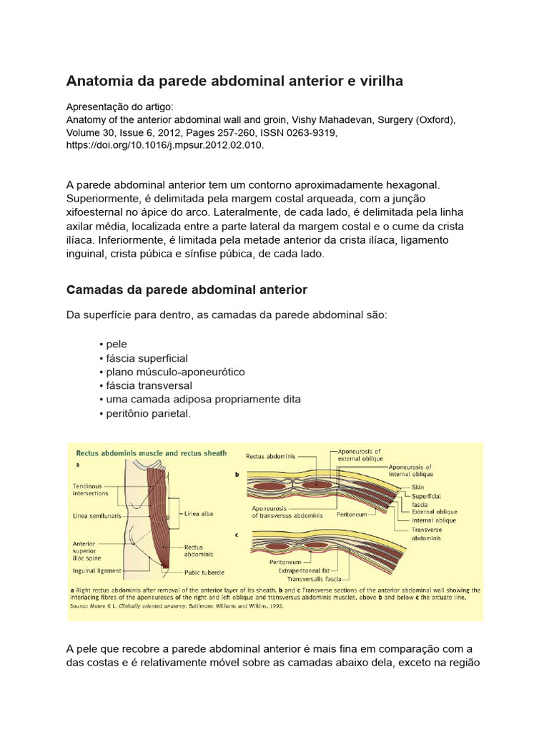 Anatomia da Parede Abdominal e Virilha | PDF