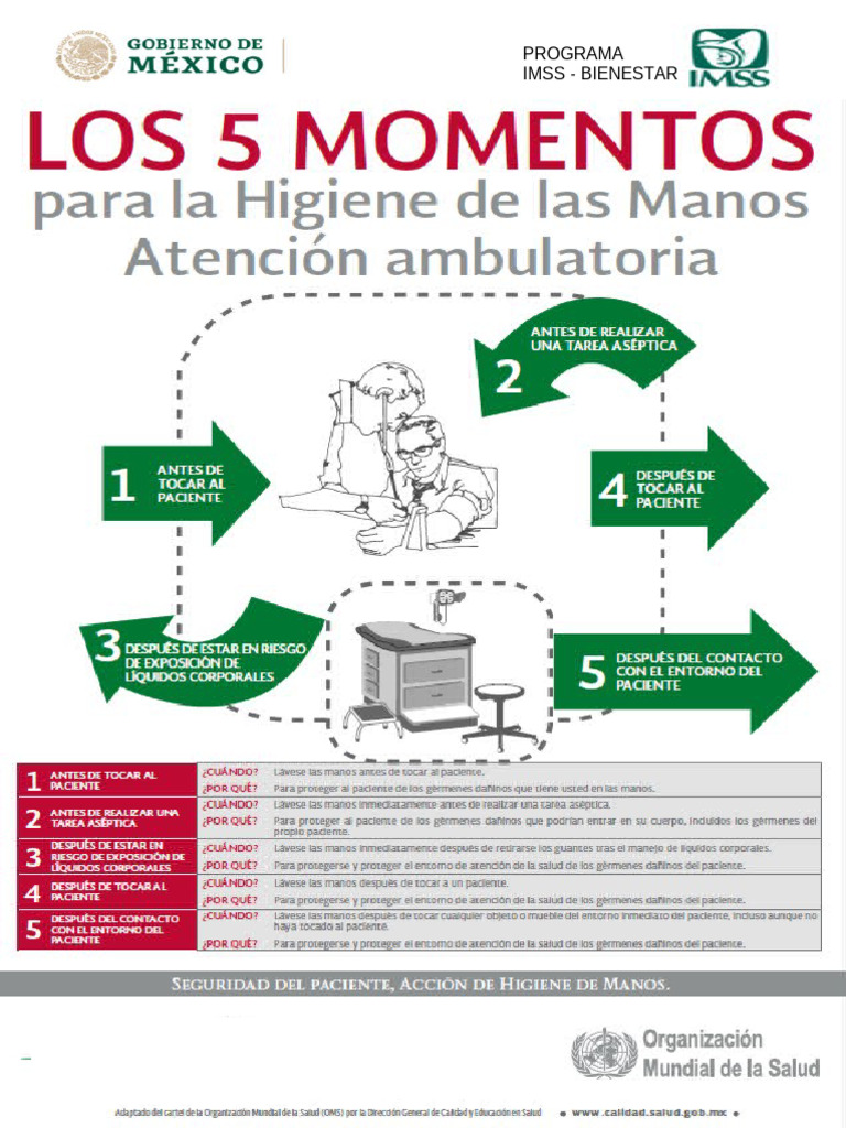 Cartel 5 Momentos Atn Amb. Lavado de Manos | PDF