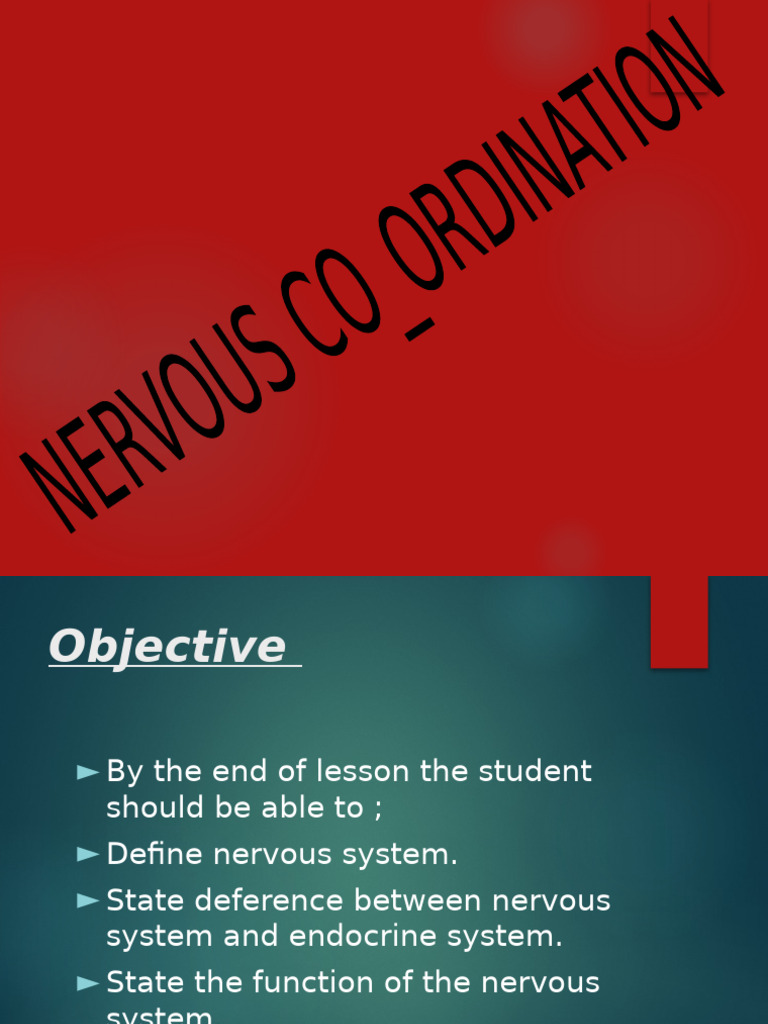 Nervous System Overview and Functions | PDF | Neuron | Action Potential