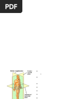 Joint Positions and Capsular Patterns | PDF | Anatomical Terms Of ...