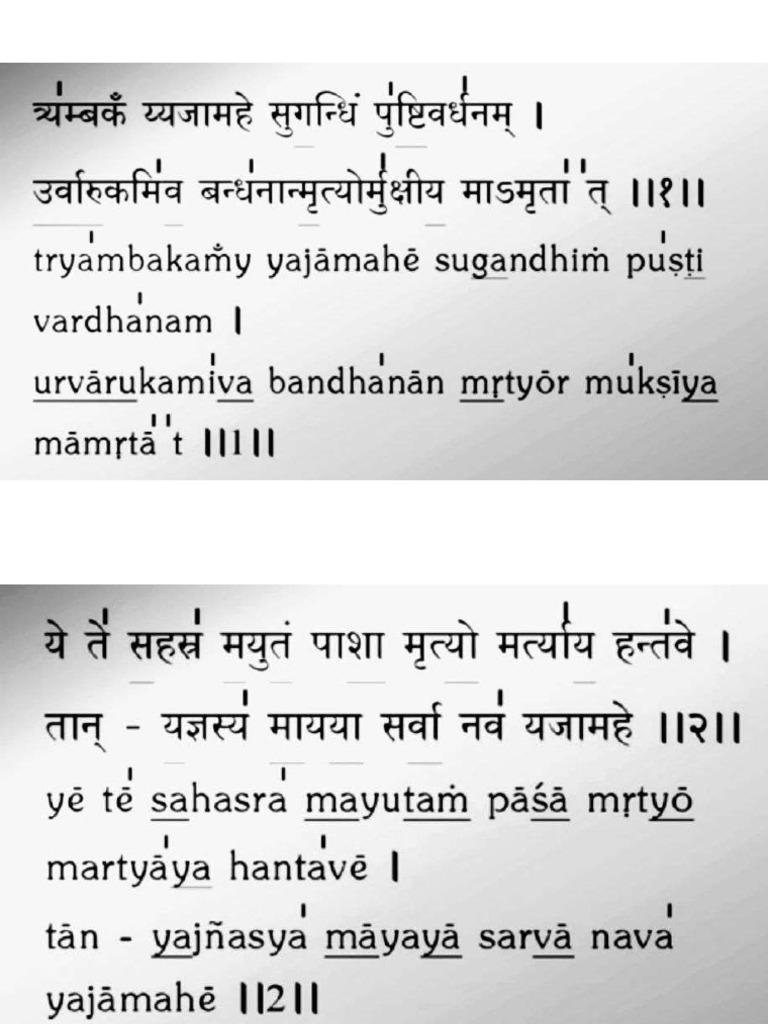 Maha Mrityunjay | PDF