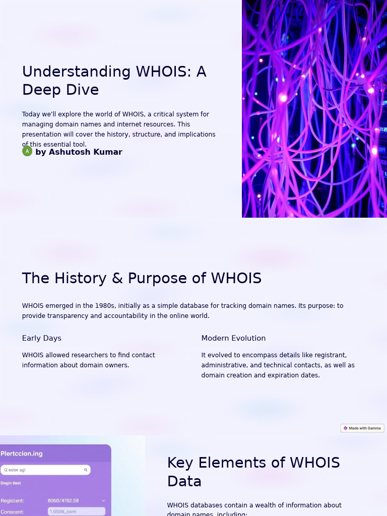 Understanding Whois A Deep Dive Pdf Domain Name Data Management