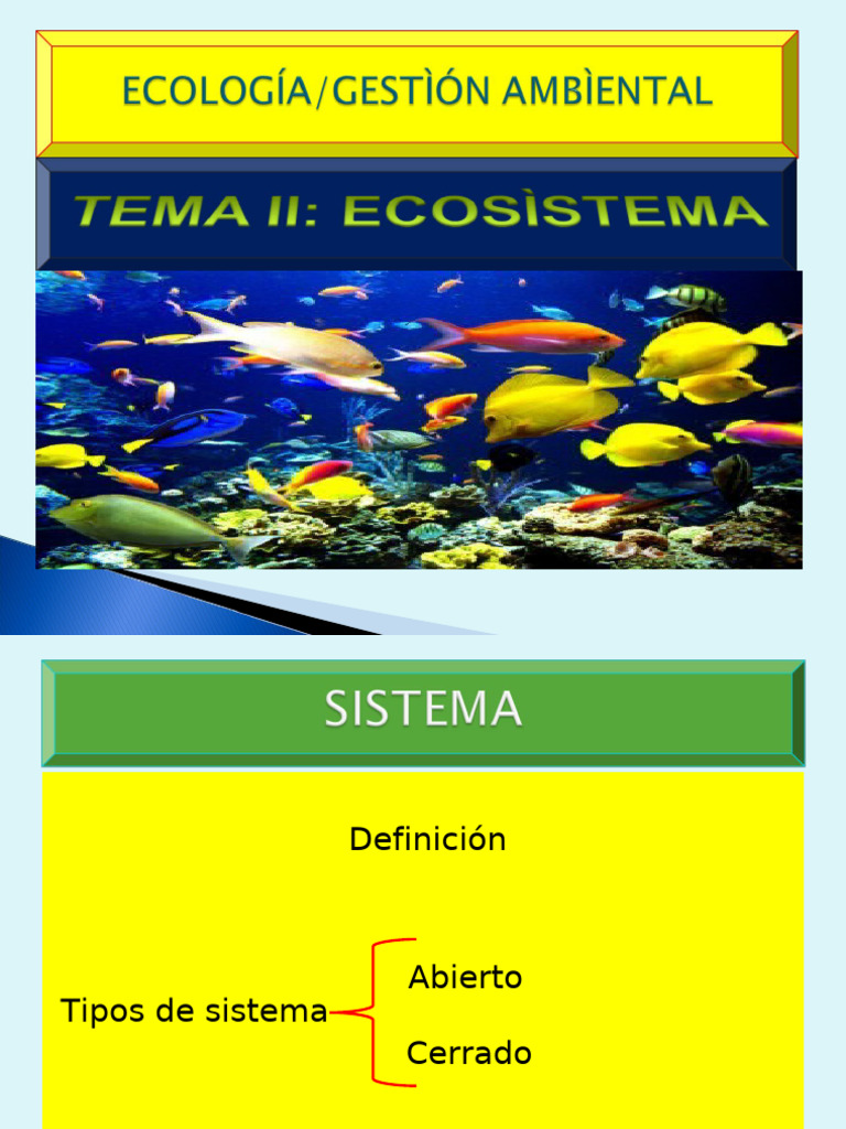 Tipos y Funciones de Ecosistemas | PDF | Ecosistema | Ecología