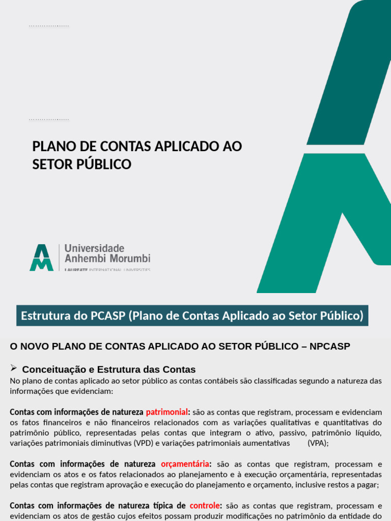 Estrutura do PCASP no Setor Público | PDF | Contabilidade | Orçamento