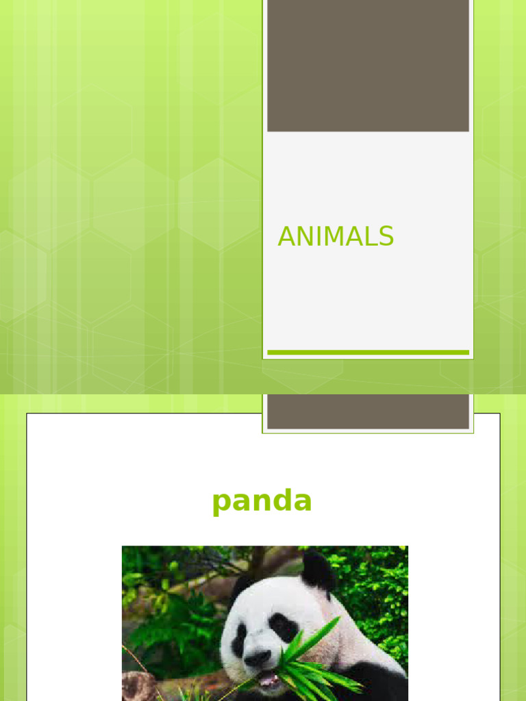ANIMALS | PDF